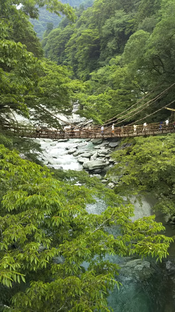 暑中お見舞い申し上げますサムネイル