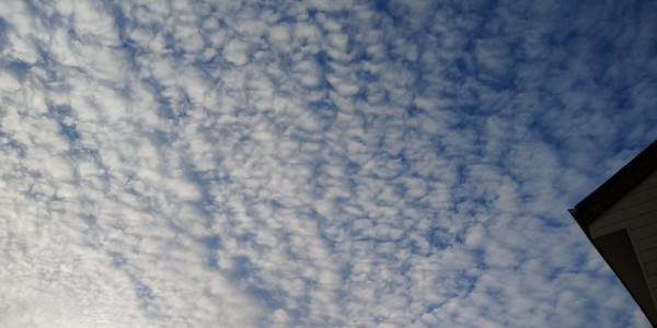 秋空　ウロコ雲　サムネイル